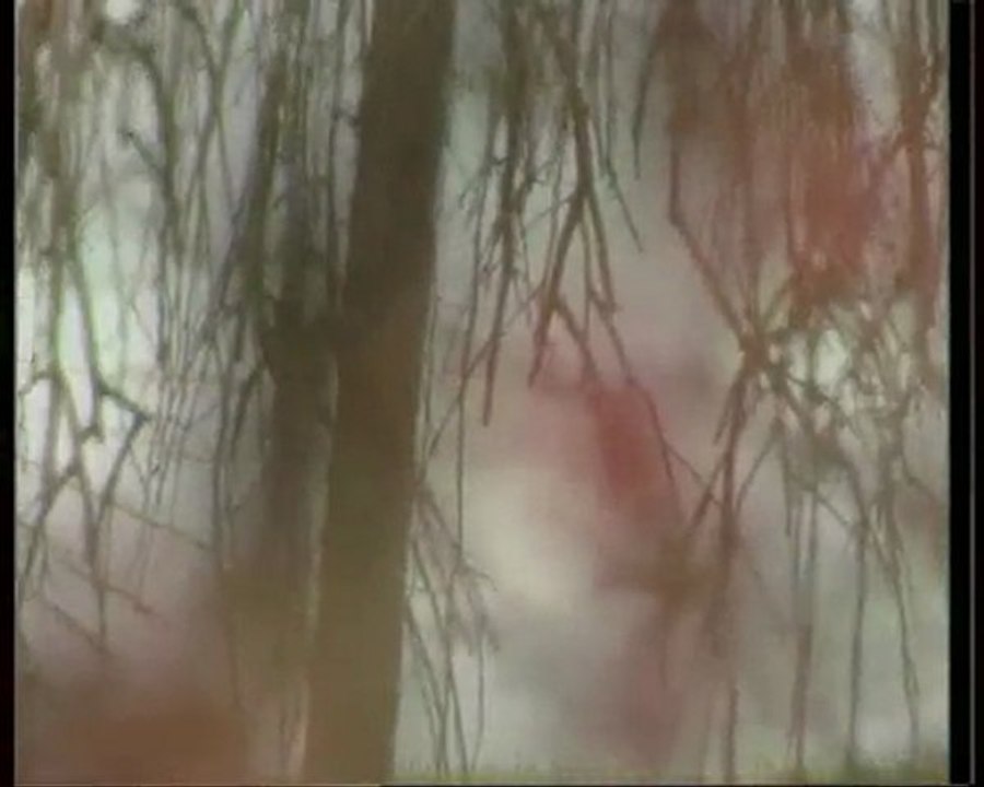 n'oldu bu gönlüm müziksiz ilahi mehmet yetkin