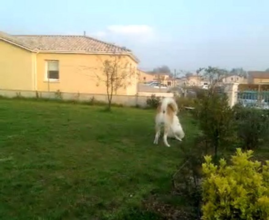 2010-04-15-ARRIVE PAPA