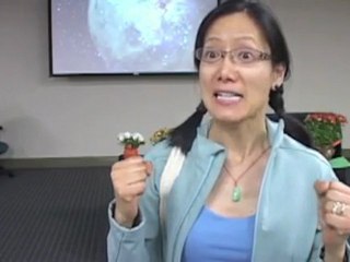 Unleash the Power of Greens for Vibrant Health