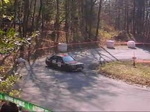 Mercedes 190 à la montée historique de Quintal 2010