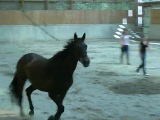 quador liberté vertical aout 2009