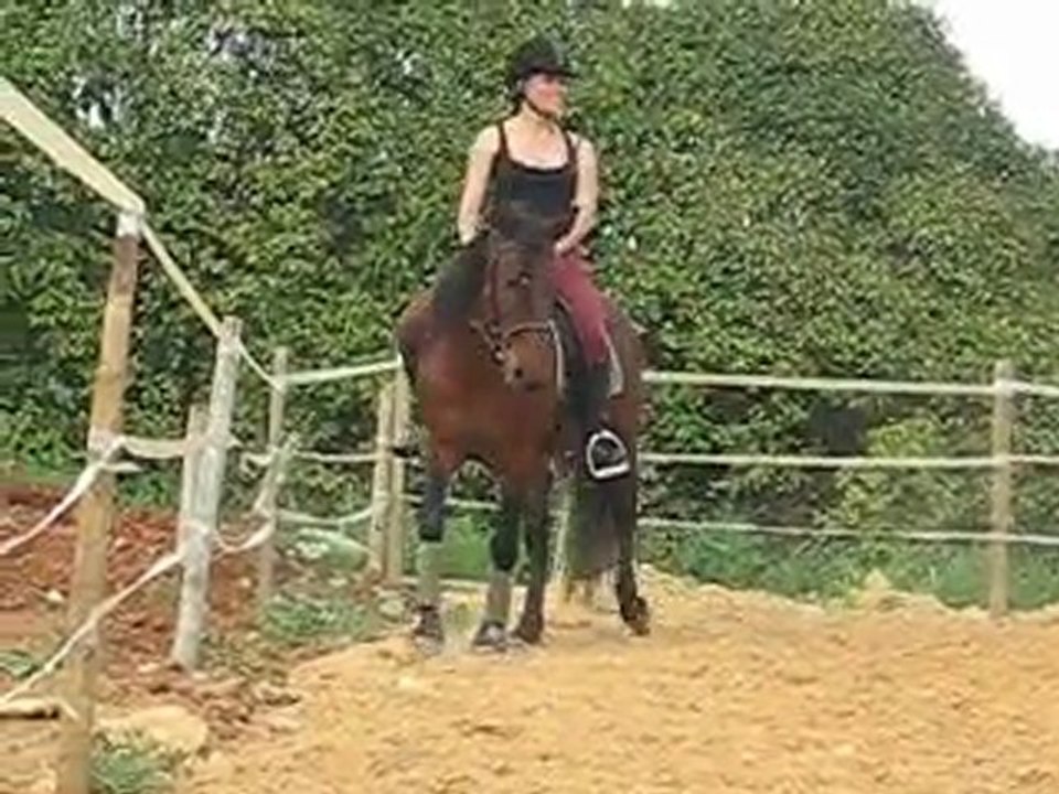 Artista, épaules en dedans