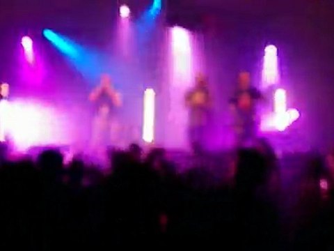 Les Ramoneurs de Menhirs aux Anthinoises 2010