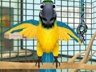 Sing Your Song - It's Fractal