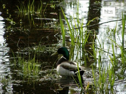 38 Emisja Poniedzialek ok 26.04 cz4