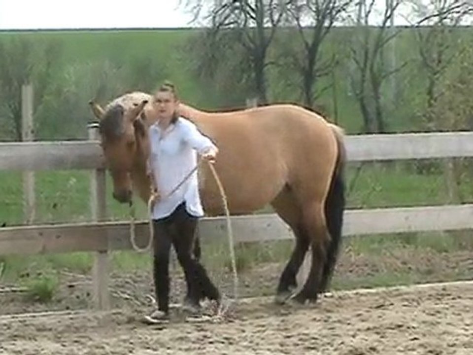 vacances pâques 2010 ( rassemblé )