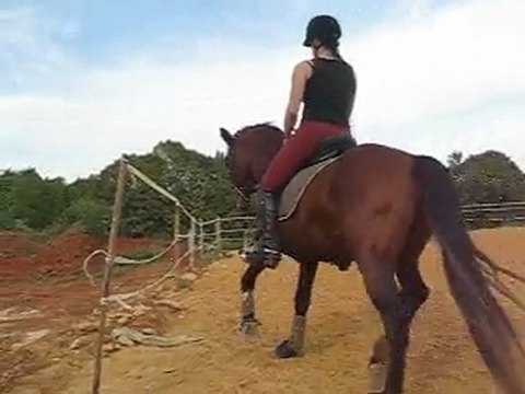 Artista, galop à droite