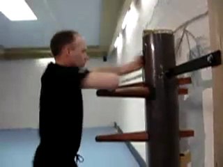 Wing Chun Dummy - FAST!