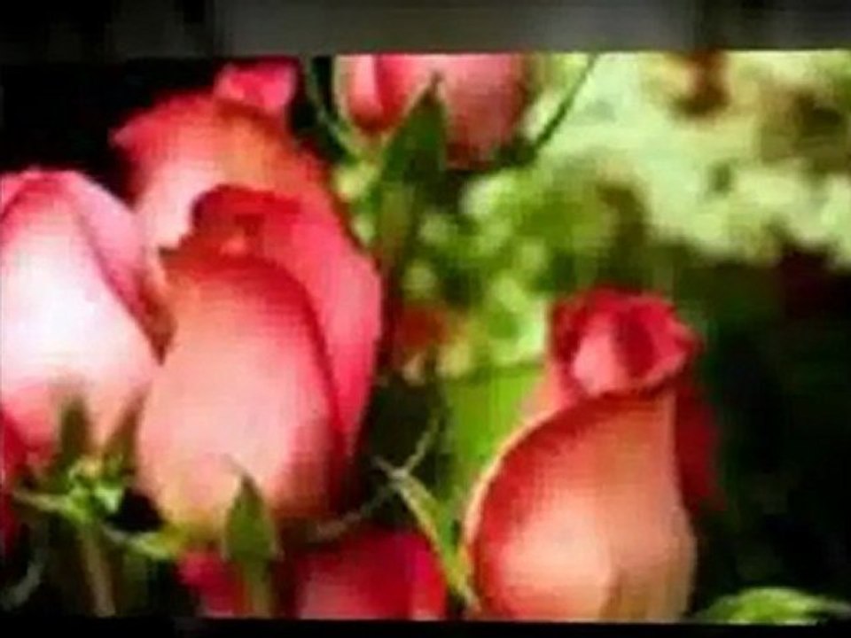 Funeral Flowers Delivered Ohio