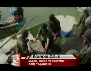 SAZAN, SUDAK VE KEREVİTTE ARTIŞ YAŞANIYOR