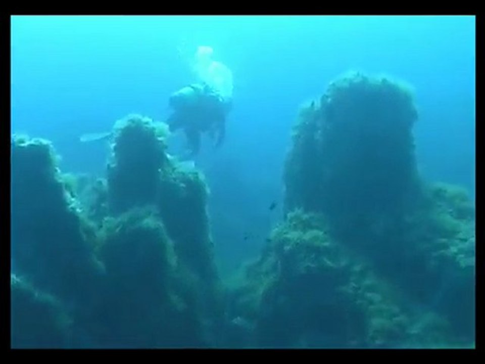 Plongée en Corse : Morsetta