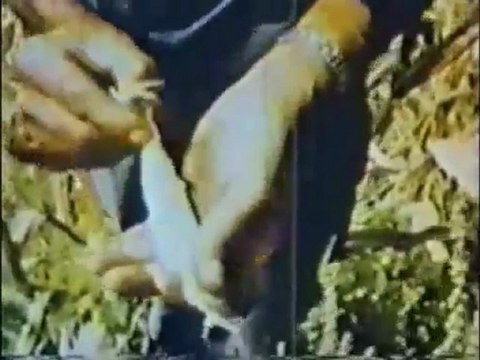 La fin des temps était déjà annoncé par David WILKERSON 2 5