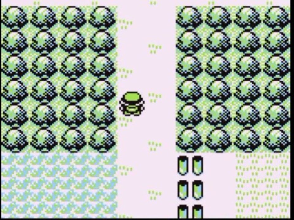 WT - Pokémon Version Rouge - Part 04