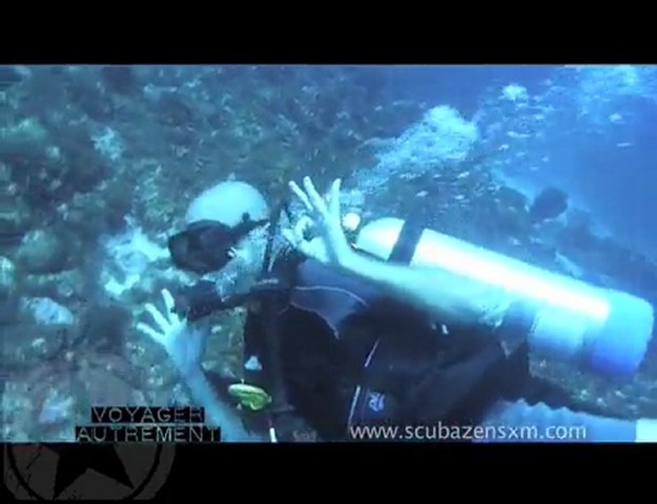 Dive Saint Martin FWI