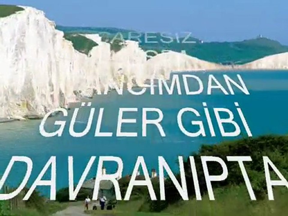 PEMBE GÜL (fatih dişbudak)