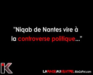 Du Niqab à la polémique...