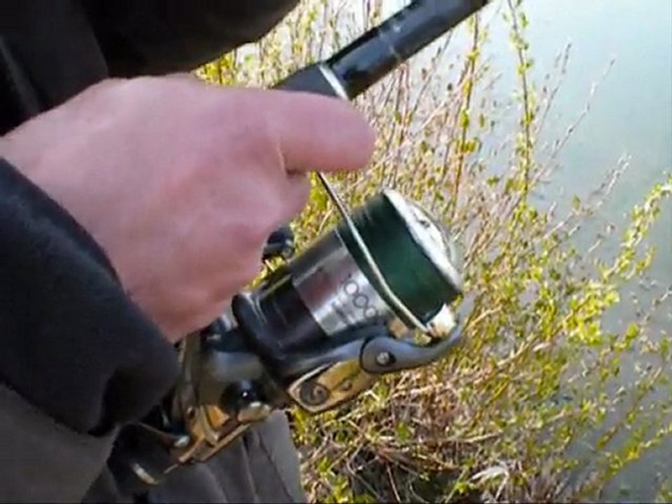 Pêche a la carpe