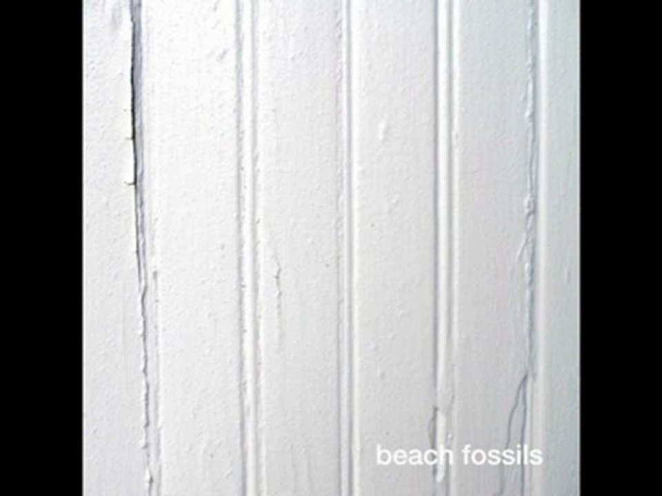 beach fossils - window view