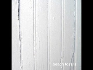 beach fossils - window view