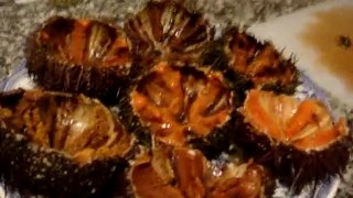 How to clean and serve sea urchins - seafood