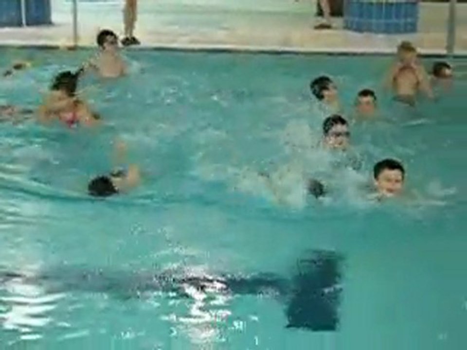 piscine 2010 n°1