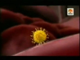 Virus SRAS (1): Sindrome respiratorio agudo severo