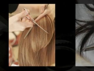 Roscoe Village Salon |  Roscoe Village Beauty Salon