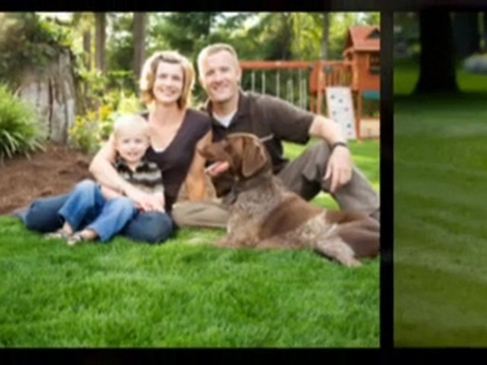 Best Winnipeg Lawn Care Maintenance Services