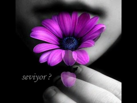 Ahmet ŞAFAK - Karagül