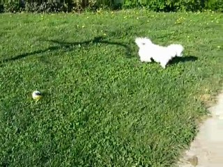 Suzon, le matin au réveil