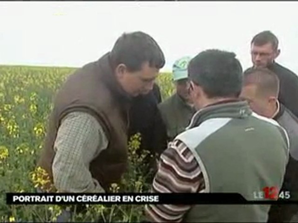 Céréalier : fauché comme les blés