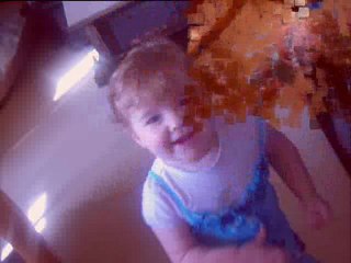 belle diapo video des trois puces