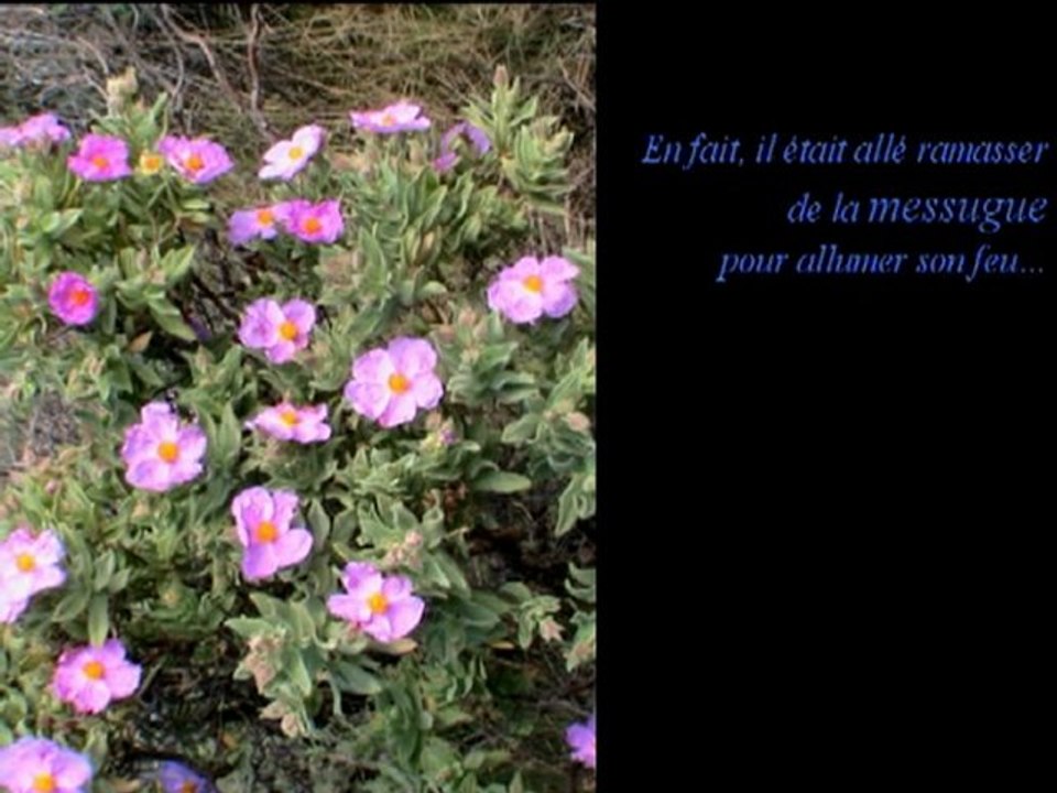 histoire de la Messugue