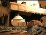 Histoire des truffes