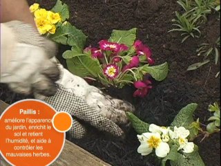 La bonne terre pour la bonne tâche