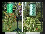 Felknor Ventures Topsy tomato planter