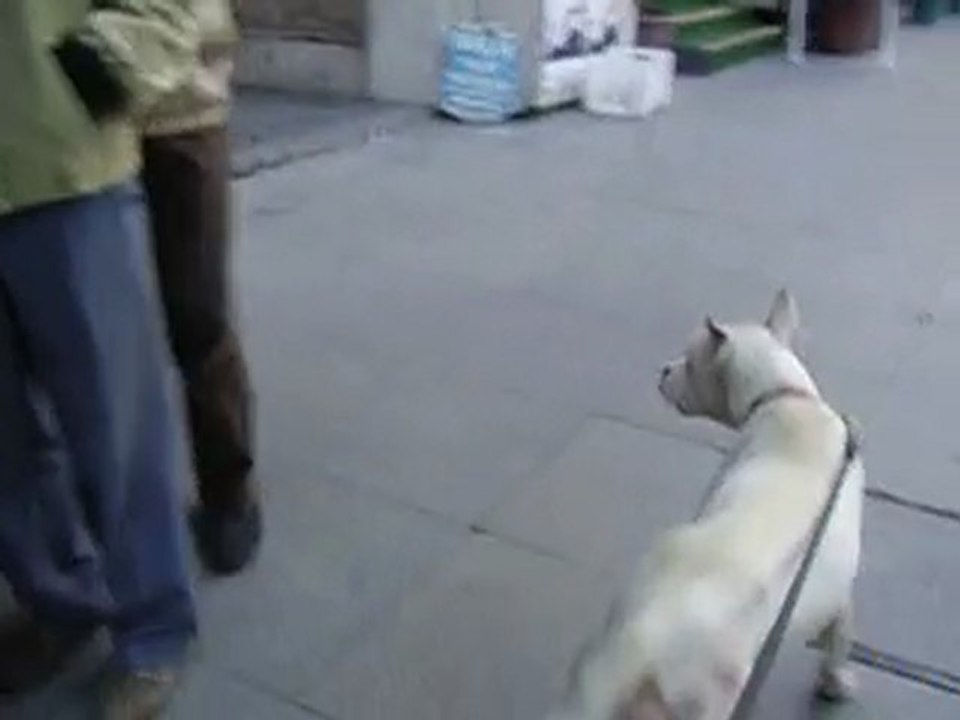 Dostum herkeslerle