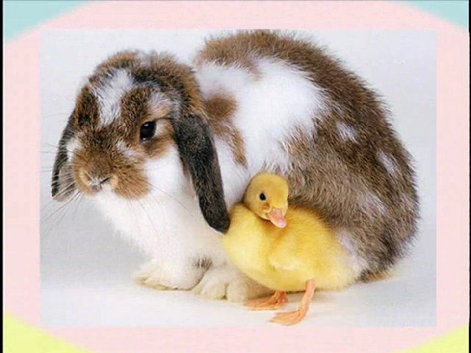 ŻYCZENIA WIELKANOCNE