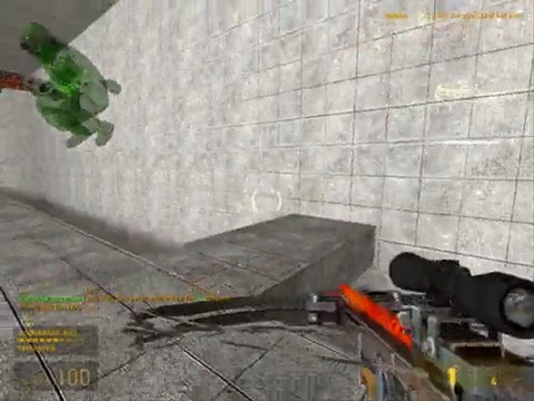 half life 2 deathmatch sereneta