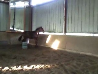 Vivaldie - Liberté - Avril 2010