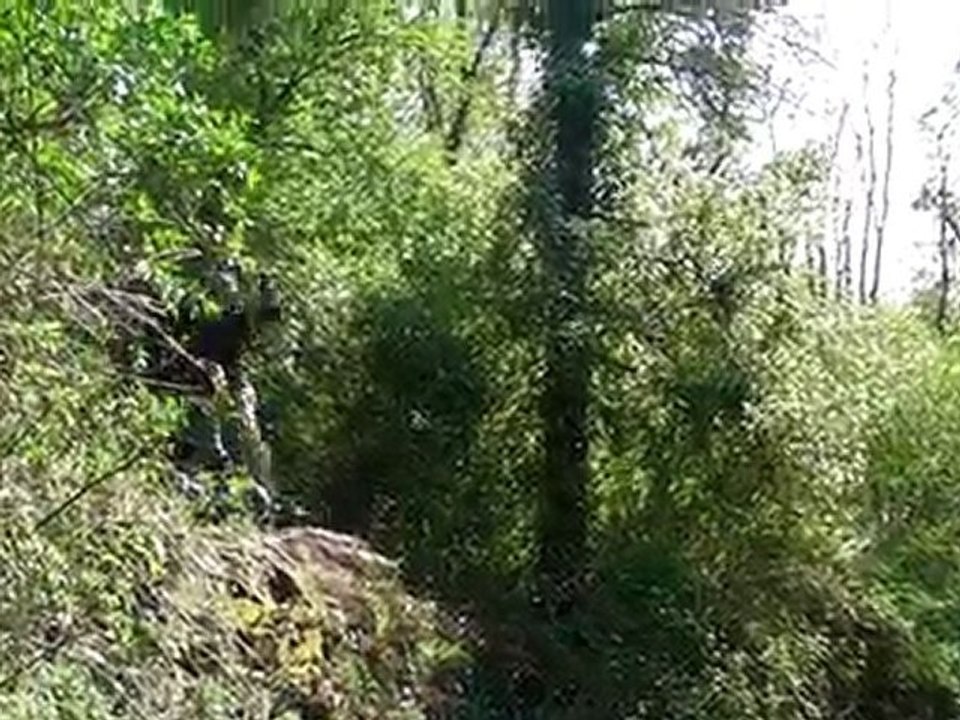 Huge road gap (2nd attempt) [HD]