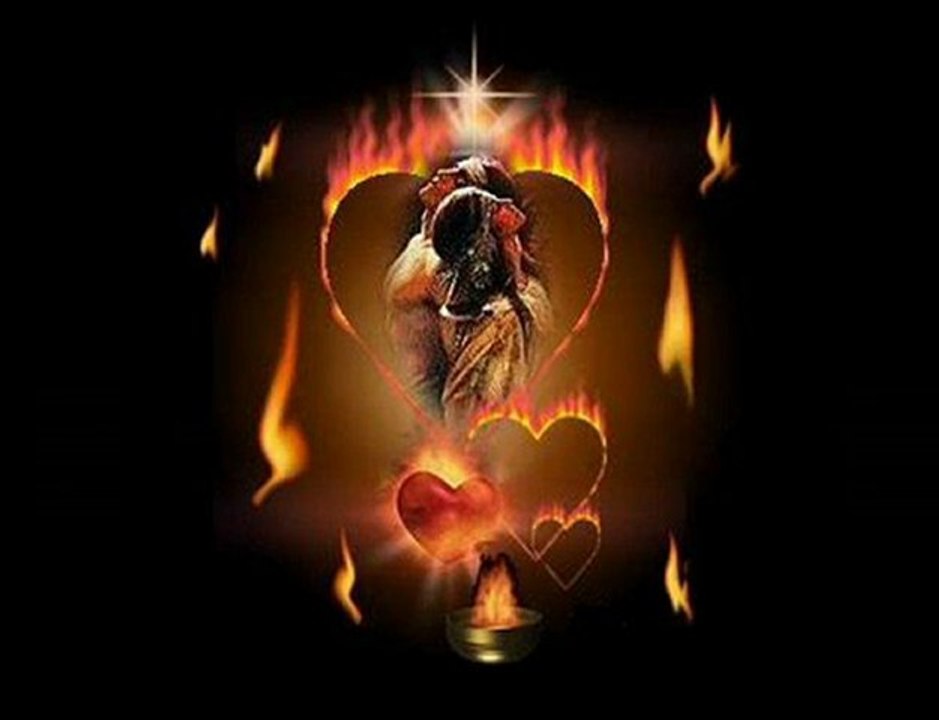 Mirkelam ve Zeynep Özbilen~Friends & Family-Ayhan Sicimoğlu