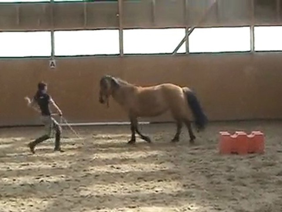 Vacances pâques 2010 ( saut d'un cube )