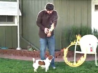 Ring of Fire Dog Trick Fail