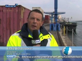 Mulhouse Rhin : perte de l'activité fluviale de 11,2%