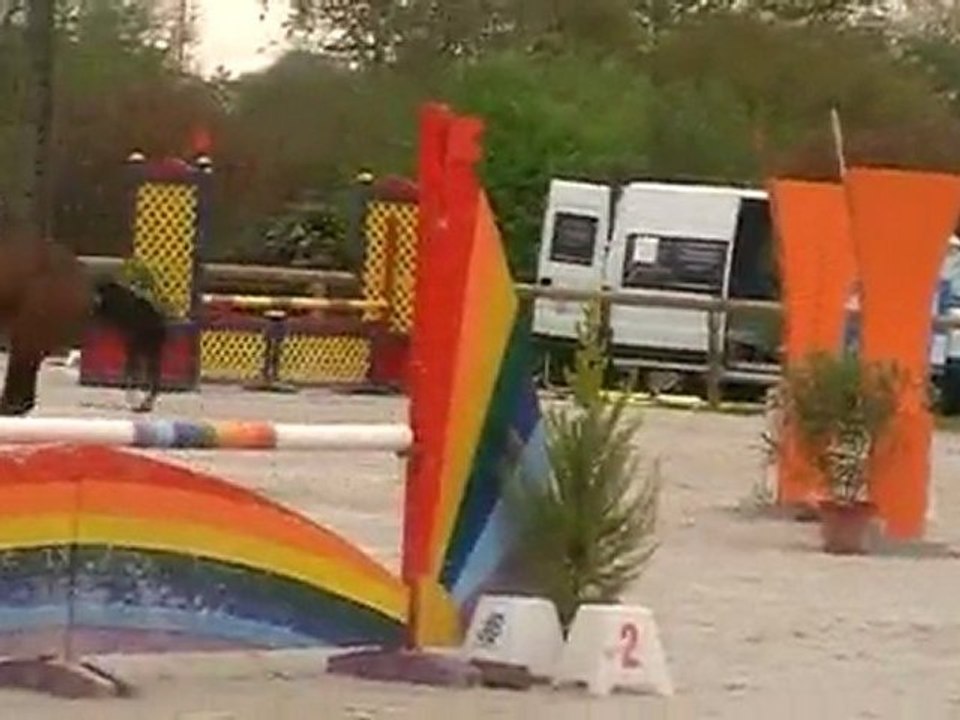 Quador de thouaré Bressuire, D3P