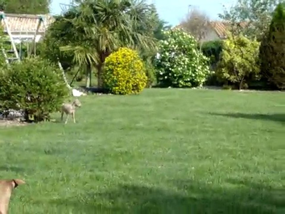 Maman nous donne des leçons