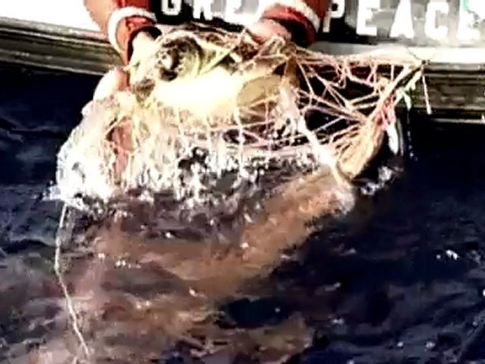 Greenpeace - Inspiring Action