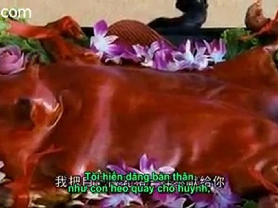 viet quang bao hap 1