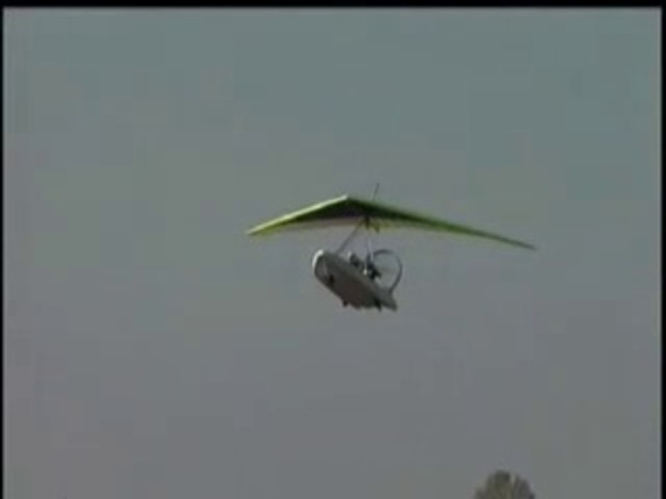 Ramphos Flight